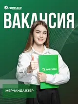 Мерчендайзер
