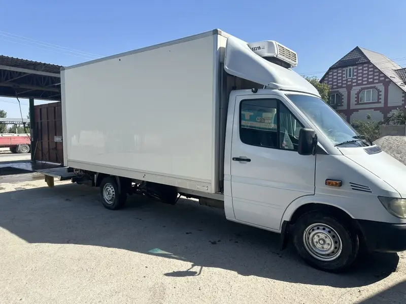 Mercedes-Benz Sprinter (кузов-фургон) 2.2 cdi 313 термо бутка балы — фото 6