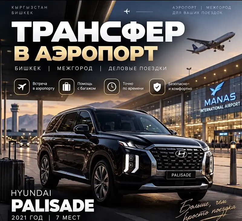 Пункт назначения: Аэропорт Манас, Лицензия №: 738749 — фото 3
