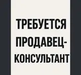 Продавец-консультант в Магазин одежды
