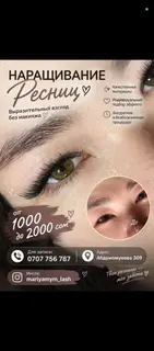Ресницы, 3D, С выездом на дом