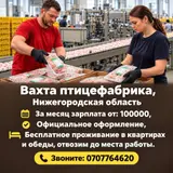 /семейные пары