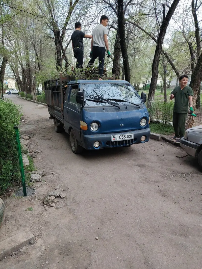 Заказать Хендай портер, Вывоз бытового мусора, С откидным кузовом (самосвал) — фото 3