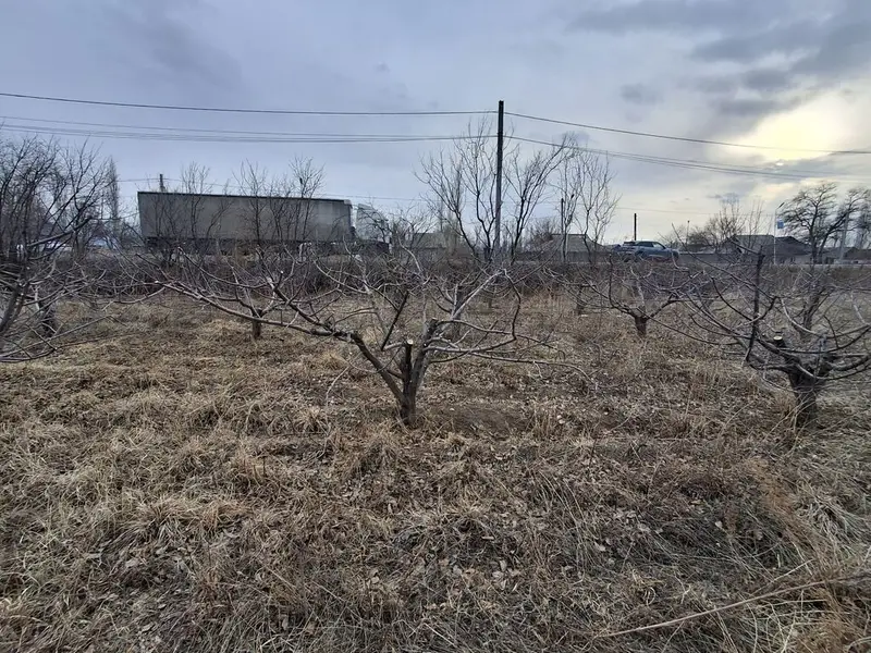 Алма-Бак бутайбыз — фото 4