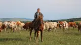 Малчы керек уй караганы айлык маянасы жакшы