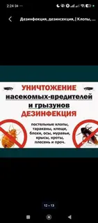 Дезинфекция, дезинсекция