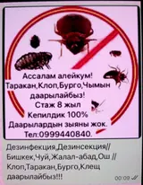 Дезинфекция, дезинсекция