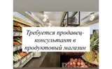 Продавец