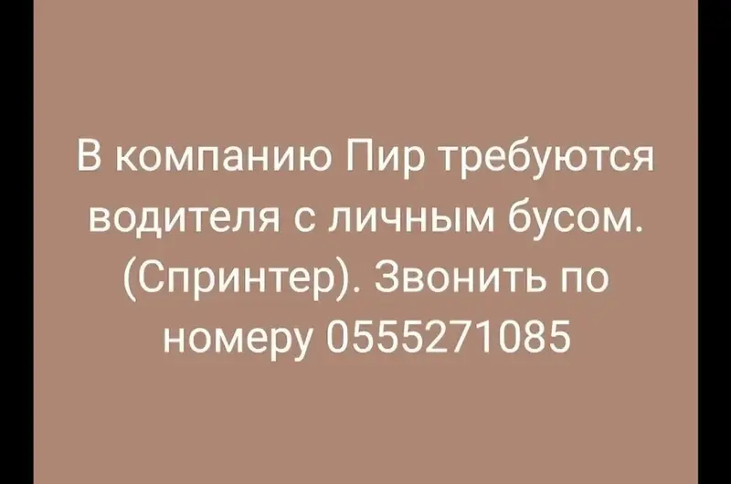 Водитель с личным бусом (спринтер макси) — фото 2