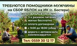 Сборщик урожая