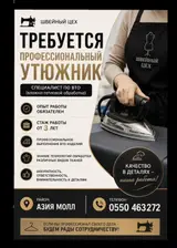 Гладильщик