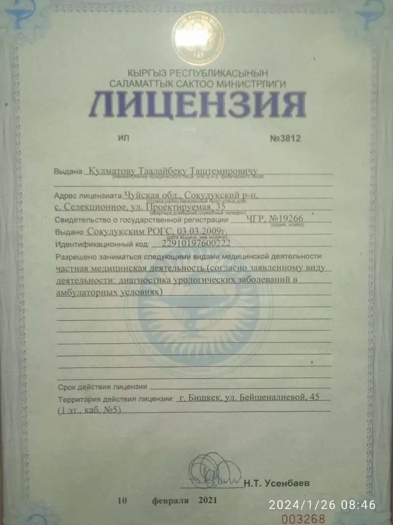 Врач-уролог Кулматов Таалайбек Таштемирович. Услуги — фото 2