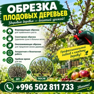 Обрезка плодовых деревьев Профессиональная обрезка для здорового
