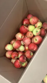 Арча-Бешикте жайгашкан дуконго жардамчы кыз керек