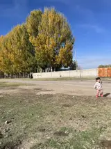 Тез арада малчы керек