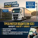Водитель грузового транспорта