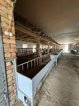 Кой караганга бир адам керек