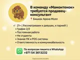 Продавец‑консультант в команду «Мамонтёнок»