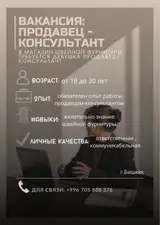 Продавец-консультант