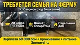 Доярка