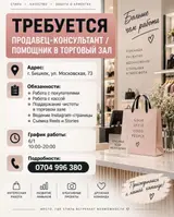 Продавец-консультант в Магазин одежды
