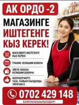 Продавец в магазин «Ак Ордо-2»