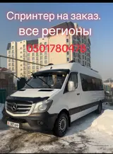 Спринтер бус на заказ Рекис 18 +20 место все регионы по городу
