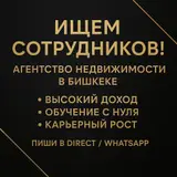 Открывается новое агентство недвижимости в Бишкеке