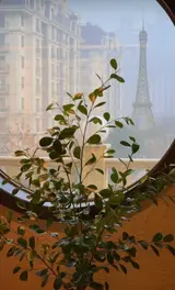Уборщик