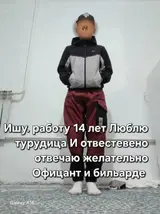 Официант. Без опыта