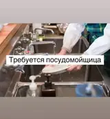 Посудомойщик