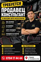 Продавец-консультант в Магазин автозапчастей