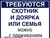 Скотник и доярка (возможен вариант для семьи)