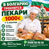 Пекарь