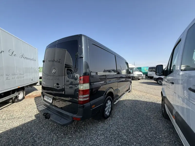 Mercedes-Benz Sprinter (короткая база, грузопассажирский версия) — фото 6
