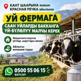 Тез арада Кант шаарына жакын красная речка айылына