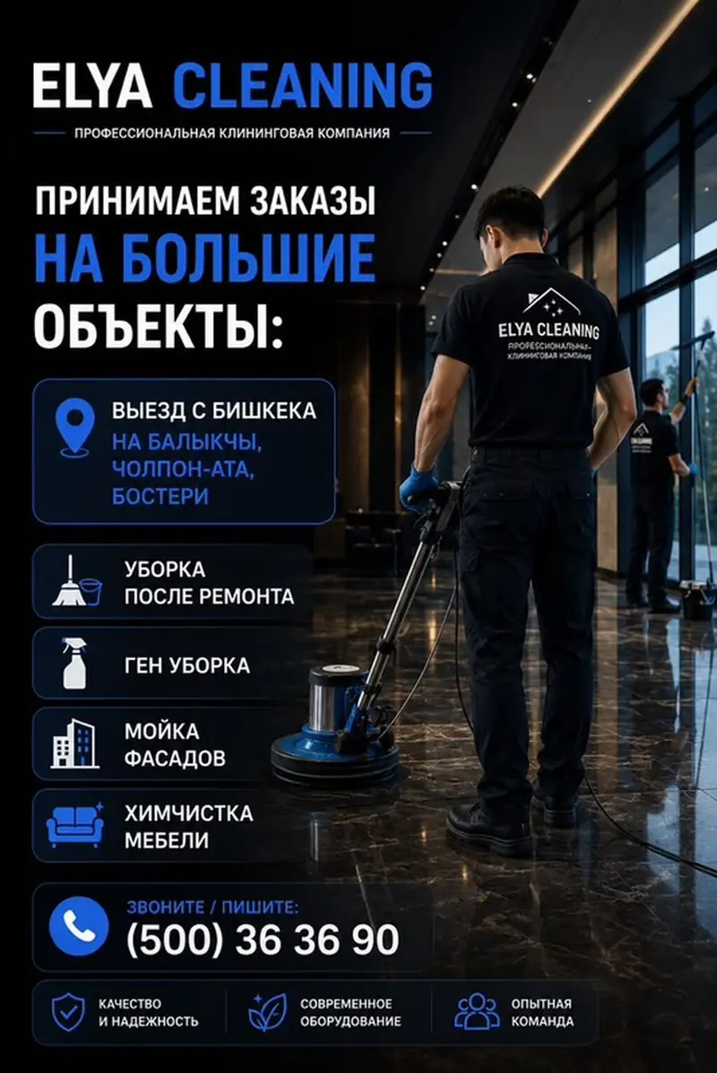 ELYA CLEANING — профессиональные клининговые услуги — фото 2
