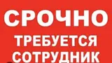 Сотрудник (услуги и подработка)