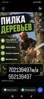 Услуги по распилу и уходу за деревьями.