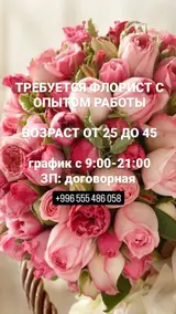 Другие специальности