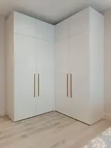 Встроенные и корпусные шкафы на заказ