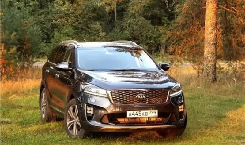 KIA и Hyundai Профессиональная услуга .чистка форсунок ( топливных — фото 4