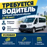 Водитель автобуса, буса