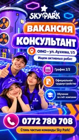 Консультант в Sky Park