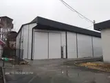 Больше 6 лет опыта