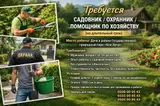 Садовник -охранник в дачу в районе государственного парка