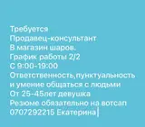 Продавцы-консультанты