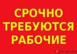 Работники на склад