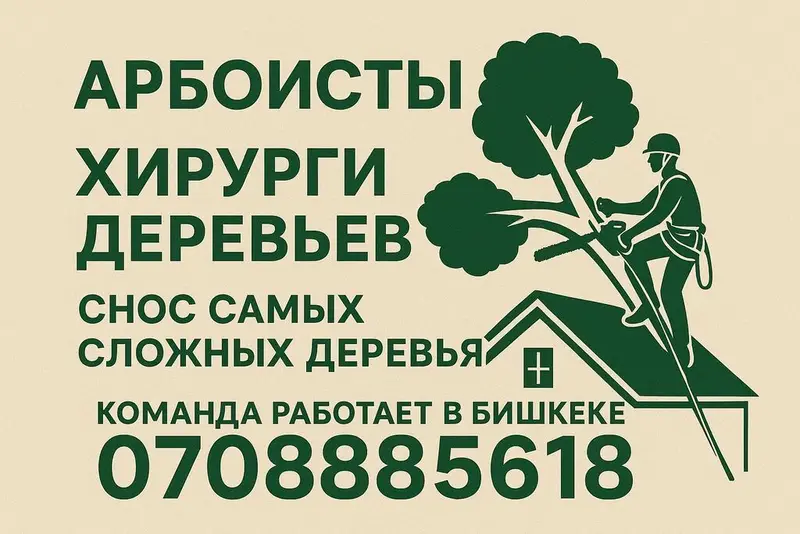 Снос аварийных деревьев, опытная команда. Снос, обрезка, повал — фото 2