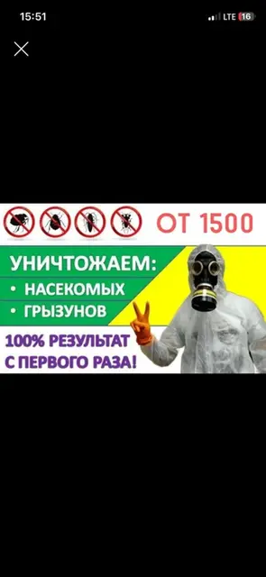 Дезинфекция, дезинсекция